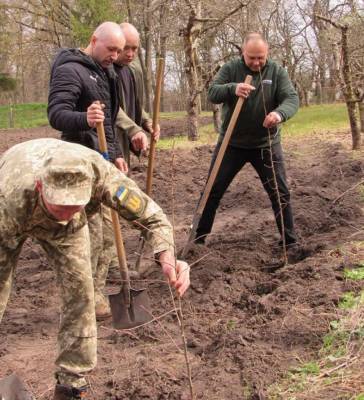 В Черкасской области возле музея семьи Симиренко высадили сад легендарных яблонь