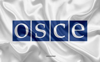 Русофобская выходка в ОБСЕ: Крымчанам не дали слова