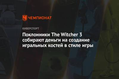 Поклонники The Witcher 3 собирают деньги на создание игральных костей в стиле игры