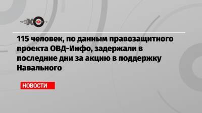 115 человек, по данным правозащитного проекта ОВД-Инфо, задержали в последние дни за акцию в поддержку Навального