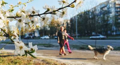 «От -4 до +16»: долгожданное тепло ворвется в Украину, синоптики обнадежили прогнозом