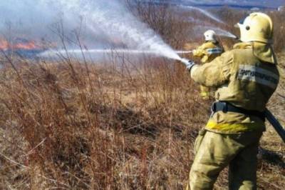 В Хабаровском крае за сутки случилось семь природных пожаров