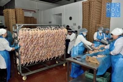 В Дагестане на крупной птицефабрике запустят обновленное производство кормов