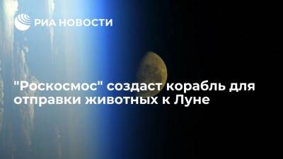 "Роскосмос" создаст корабль для отправки животных к Луне