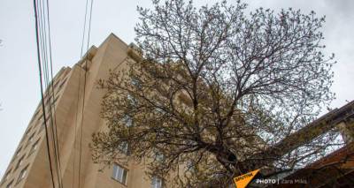 Цены на жилье в Ереване начали снижаться