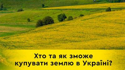 В Украине запустят рынок земли с 1 июля: кто и как сможет купить