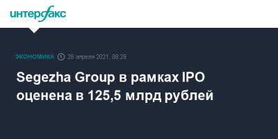 Segezha Group в рамках IPO оценена в 125,5 млрд рублей
