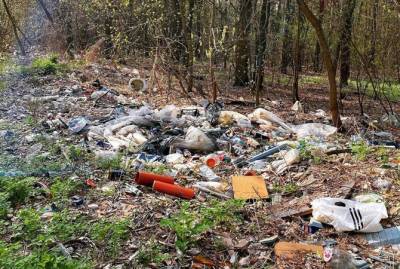 Настя Зинченко ужаснулась количеству мусора в лесу под Киевом: Никогда подобного не встречала!