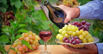 От лозы до бокала. Как меняется вкус украинского вина и устоит ли оно перед импортом