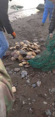 Водолазов-браконьеров поймали пограничники в Корсаковском районе