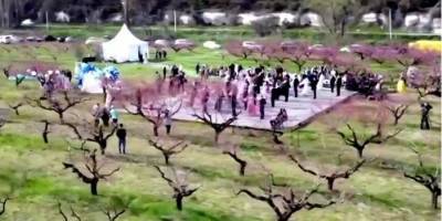 Посольство Украины в Лондоне раскритиковало Reuters за видео «весеннего бала» в оккупированном Крыму