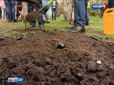 В Ростове посадили сотни редких для донского региона деревьев