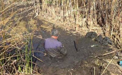 В Смоленской области из болота спасли тонущего мужчину