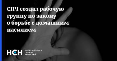 Татьяна Мерзлякова - СПЧ создал рабочую группу по закону о борьбе с домашним насилием - nsn.fm