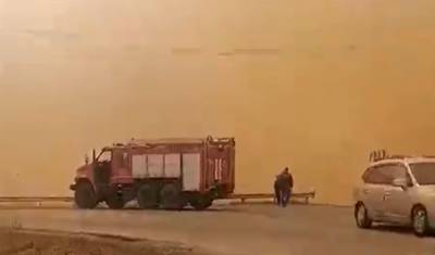 Загорелись поля в СНТ около поселка Березняки в Тюмени