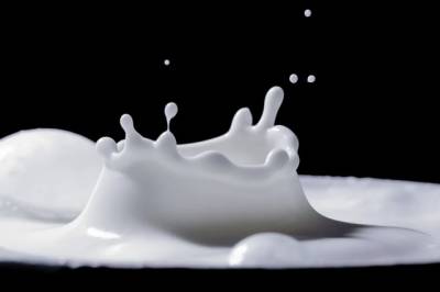 Союзмолоко: подорожание молока не превысит темпов инфляции