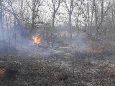 За сутки в Липецкой области сухая трава горела 22 раза