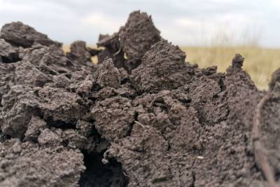 Ущерб в 33 миллиона: под Тулой стоками с очистных залило земли сельхозназначения