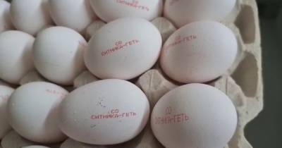 Агрохолдинг "Укрлендфарминг" поздравит директора НАБУ с 6-летием пребывания в должности миллиардом яиц с надписью "Ситника геть"