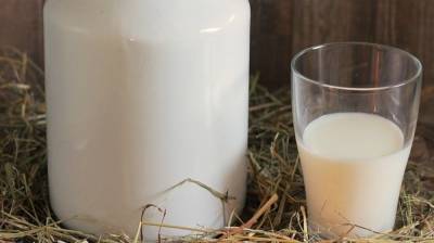 В Роспотребнадзоре рассказали, как не заразиться энцефалитом через сырое молоко