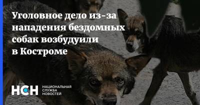 Уголовное дело из-за нападения бездомных собак возбудуили в Костроме