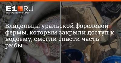 Алексей Павлов - Владельцы уральской форелевой фермы, которым закрыли доступ к водоему, смогли спасти часть рыбы - e1.ru - Екатеринбург