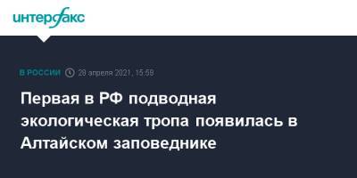 Первая в РФ подводная экологическая тропа появилась в Алтайском заповеднике