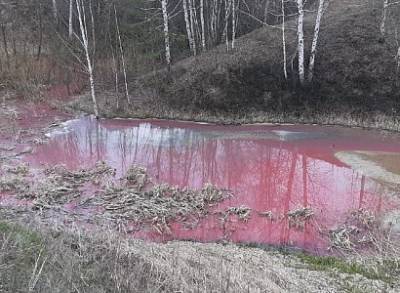 Названа возможная причина окрашивания в розовый цвет одной из рек в Рязани