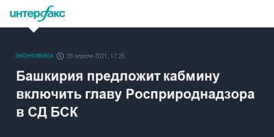 Башкирия предложит кабмину включить главу Росприроднадзора в СД БСК