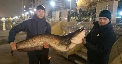 Калининградский рыбак выловил сома весом свыше 25 килограммов
