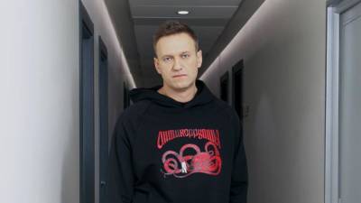 Жалобы Навального на колонию рассмотрит Петушинский суд