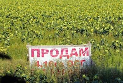 Юлия Тимошенко: Власть открыла распродажу земли иностранцам. Теперь защитить Украину может только референдум