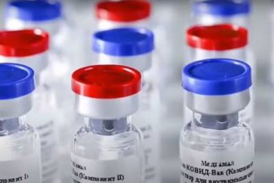В Турции сообщили о готовящихся поставках российской вакцины «Спутник V»