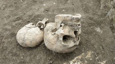 Дачные участки в Нижнекамске засыпало человеческими скелетами