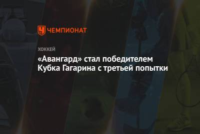 «Авангард» стал победителем Кубка Гагарина с третьей попытки