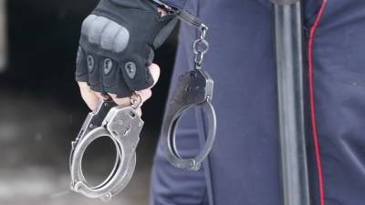 Полиция задержала экс-директора футбольной академии «Чертаново»