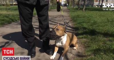 Устраивает поджоги и натравливает бойцовского пса: в Киеве мужчина якобы терроризирует соседей