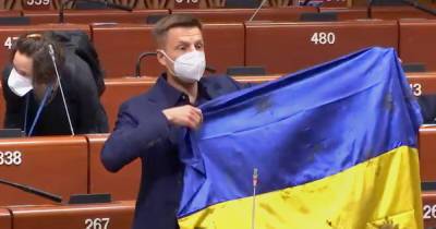 Двойные стандарты: Украина в ПАСЕ отреагировала на лишение Гончаренко права голоса