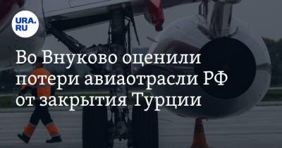Во Внуково оценили потери авиаотрасли РФ от закрытия Турции