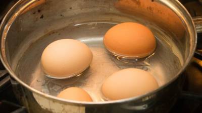 Оптовые цены на яйца резко упали в России