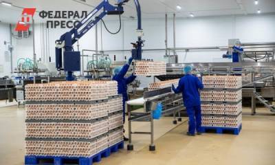 В России изменились цены на яйца
