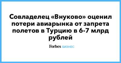 Совладелец «Внуково» оценил потери авиарынка от запрета полетов в Турцию в 6-7 млрд рублей
