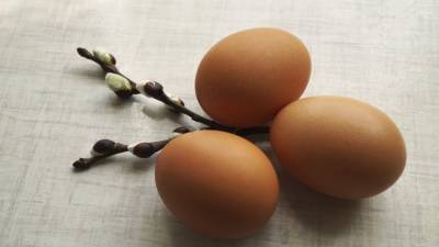Отпускные оптовые цены на яйца снизились в преддверии Пасхи в России