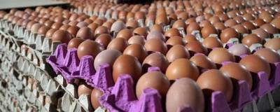 В России снизились цены на яйцо