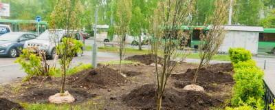 В Омске в 2021 году посадят 2 тысячи деревьев и 27 тысяч кустарников
