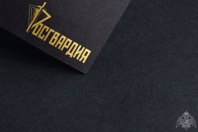Управление Росгвардии по Пермскому краю напоминает о правилах сохранности огнестрельного оружия