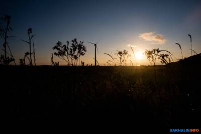 Курилы и Углегорск позеленеют от возобновляемости