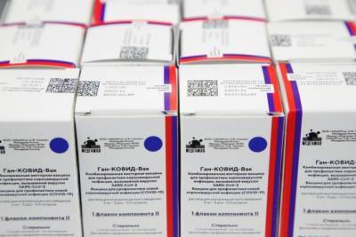 Турция закупила 50 миллионов доз российской вакцины "Спутник V"