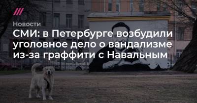 СМИ: в Петербурге возбудили уголовное дело о вандализме из-за граффити с Навальным