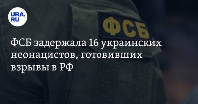 ФСБ задержала 16 украинских неонацистов, готовивших взрывы в РФ